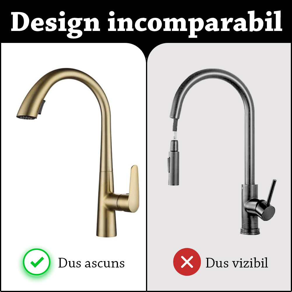 Baterie chiuveta bucatarie aurie cu dus extractibil, 2 moduri de curgere, rezistenta impotriva petelor si a urmelor, furtunuri cu cheie si protectie, Casamoni